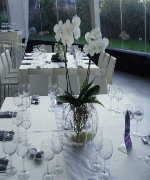 סידורי פרחים לשולחן - ענן פרחים לבן