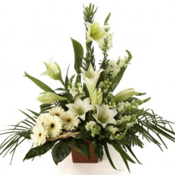 סידור ברכות לחג